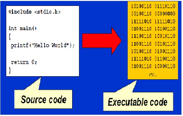 Executable Code